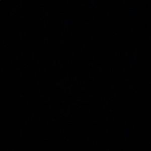 Meet your Posher, Eli